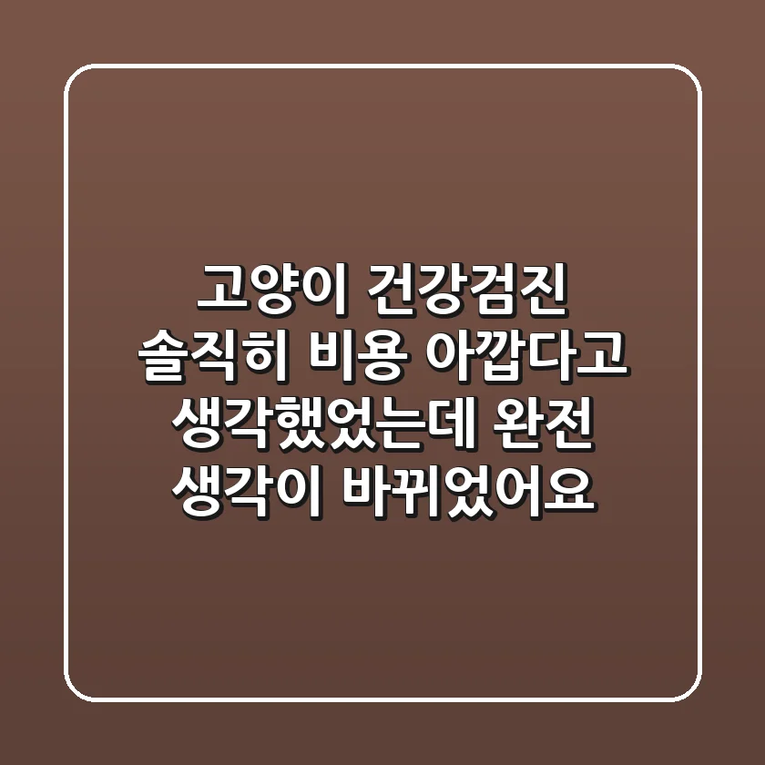 고양이 건강검진, 솔직히 비용 아깝다고 생각했었는데… 완전 생각이 바뀌었어요!