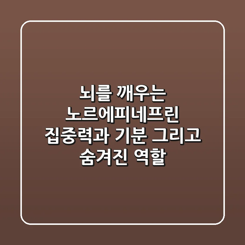 뇌를 깨우는 노르에피네프린: 집중력과 기분, 그리고 숨겨진 역할