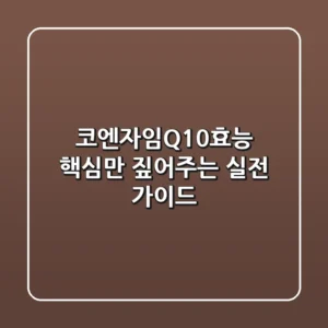 코엔자임Q10효능 핵심만 짚어주는 실전 가이드