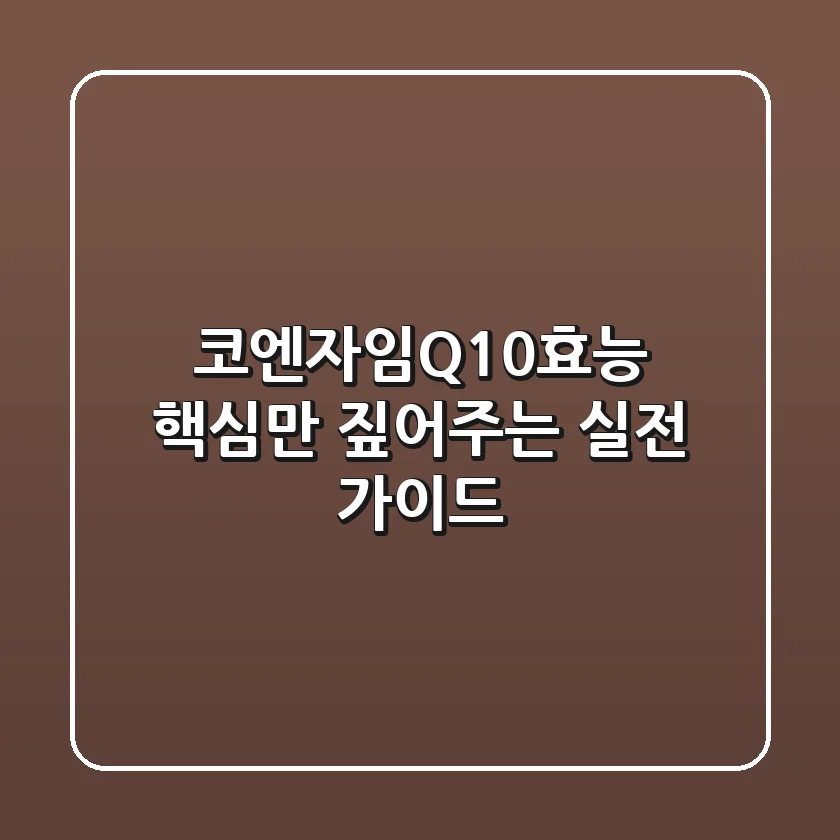 코엔자임Q10효능 핵심만 짚어주는 실전 가이드