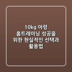 10kg 아령, 홈트레이닝 성공을 위한 현실적인 선택과 활용법