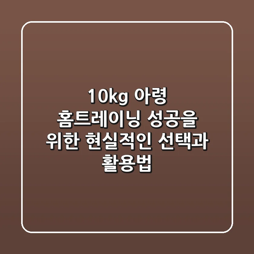 10kg 아령, 홈트레이닝 성공을 위한 현실적인 선택과 활용법