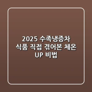 2025 수족냉증차 식품: 직접 겪어본 체온 UP 비법