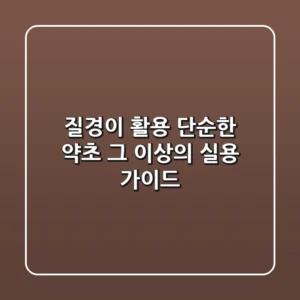 질경이 활용: 단순한 약초 그 이상의 실용 가이드