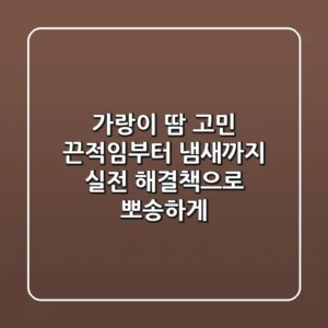 가랑이 땀 고민? 끈적임부터 냄새까지, 실전 해결책으로 뽀송하게!