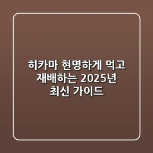 히카마, 현명하게 먹고 재배하는 2025년 최신 가이드