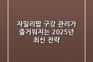 자일리팝, 구강 관리가 즐거워지는 2025년 최신 전략