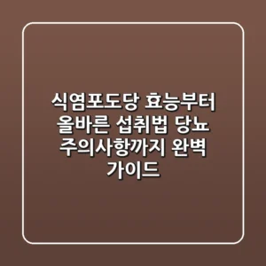 식염포도당 효능부터 올바른 섭취법, 당뇨 주의사항까지 완벽 가이드