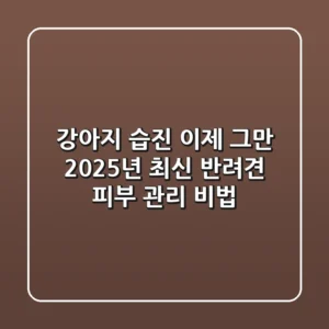 강아지 습진, 이제 그만! 2025년 최신 반려견 피부 관리 비법