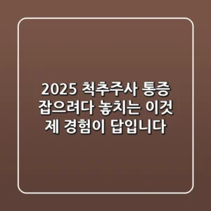 2025 척추주사, 통증 잡으려다 놓치는 '이것': 제 경험이 답입니다!