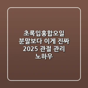 초록입홍합오일, 분말보다 이게 진짜? 2025 관절 관리 노하우