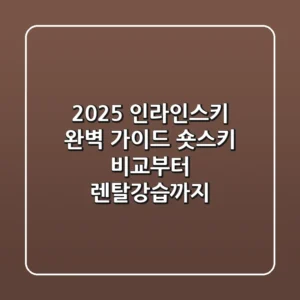 2025 인라인스키 완벽 가이드: 숏스키 비교부터 렌탈/강습까지!
