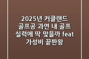 2025년 커클랜드 골프공, 과연 내 골프 실력에 딱 맞을까? (feat. 가성비 끝판왕)