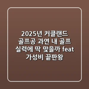 2025년 커클랜드 골프공, 과연 내 골프 실력에 딱 맞을까? (feat. 가성비 끝판왕)