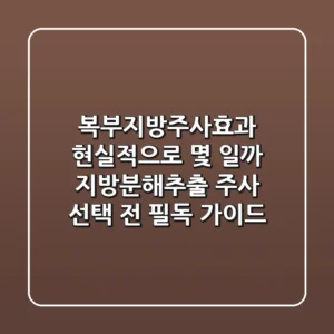 "복부지방주사효과, 현실적으로 몇 %일까?" 지방분해/추출 주사 선택 전 필독 가이드