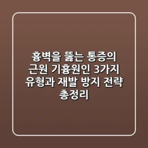 "흉벽을 뚫는 통증의 근원", 기흉원인 3가지 유형과 재발 방지 전략 총정리