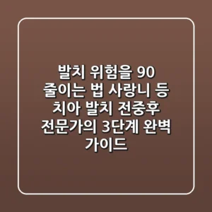 "발치 위험을 90% 줄이는 법": 사랑니 등 치아 발치 전/중/후 전문가의 3단계 완벽 가이드