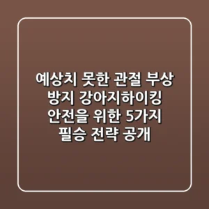 “예상치 못한 관절 부상 방지”, 강아지하이킹 안전을 위한 5가지 필승 전략 공개