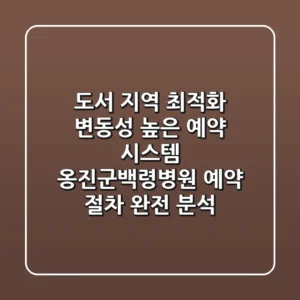 도서 지역 최적화, "변동성 높은 예약 시스템", 옹진군백령병원 예약 절차 완전 분석