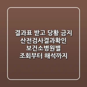 "결과표 받고 당황 금지", 산전검사결과확인, 보건소·병원별 조회부터 해석까지