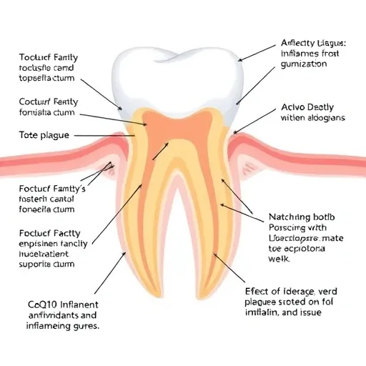 잇몸 퇴축 방지를 위한 생활 습관 개선 및 관리 노하우