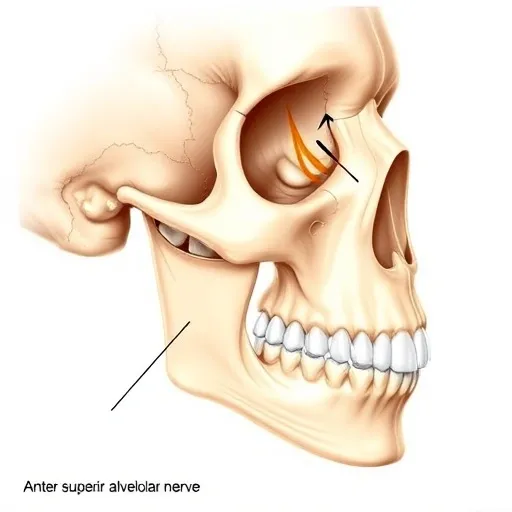 상악 돌출 해법 3가지 비교: 교정, ASO, 양악수술