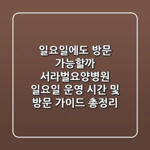 "일요일에도 방문 가능할까?", 서라벌요양병원 일요일 운영 시간 및 방문 가이드 총정리