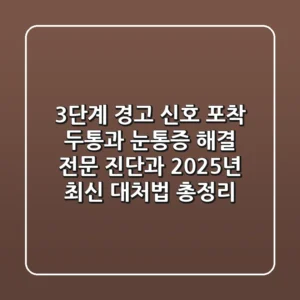 "3단계 경고 신호 포착", 두통과 눈통증 해결, 전문 진단과 2025년 최신 대처법 총정리